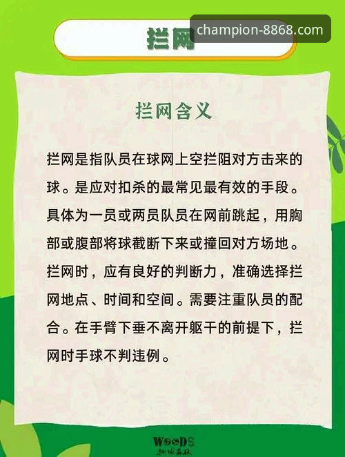 8868体育平台2026新版功能详解最新动态：这些升级让你操作更高效